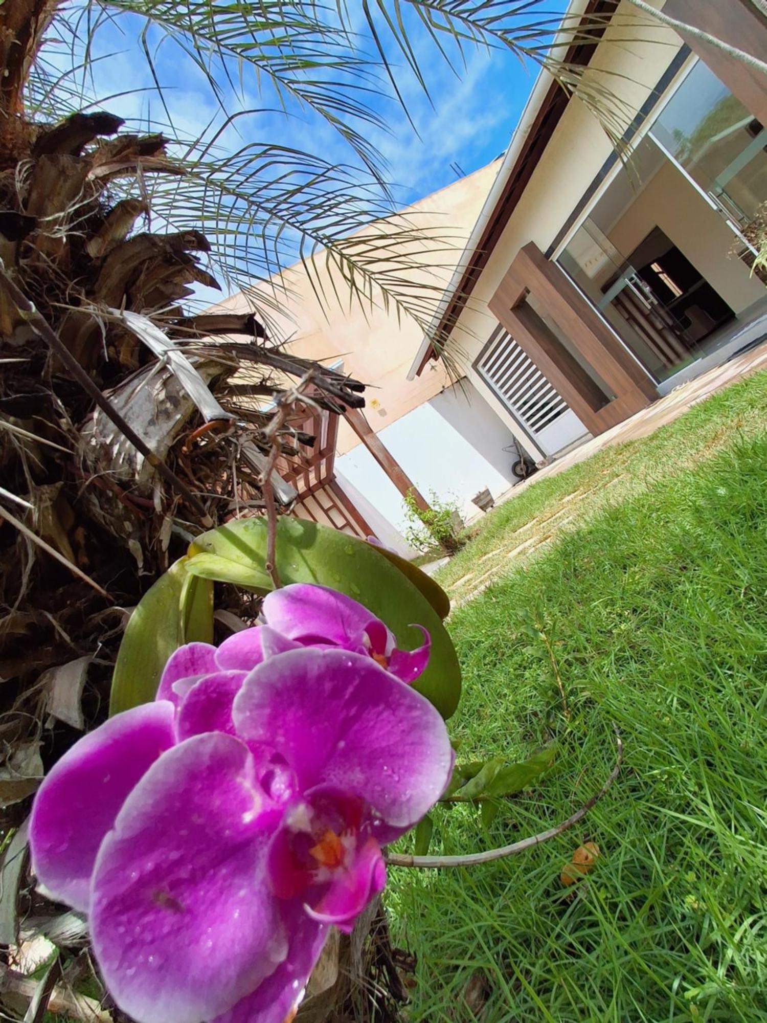 Casa Com Piscina Na Praia De Peroba Maragogi Exterior foto