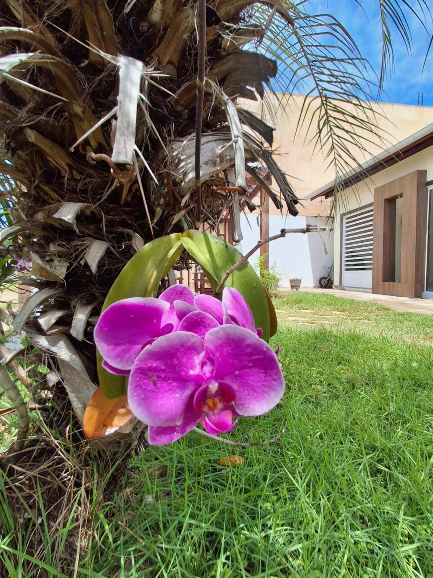 Casa Com Piscina Na Praia De Peroba Maragogi Exterior foto